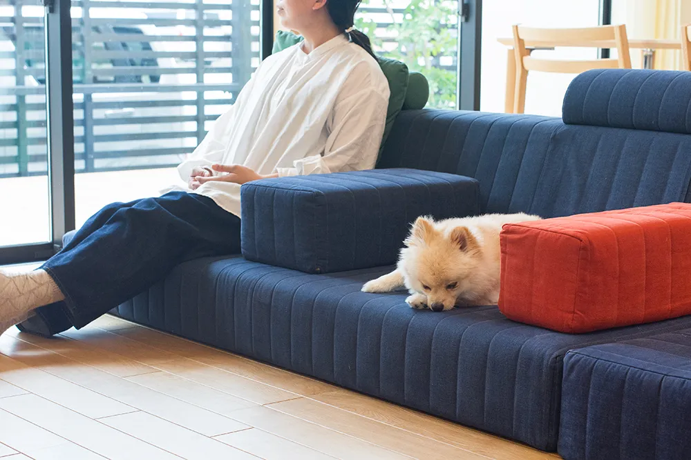 ローソファが愛犬との暮らしにいい理由