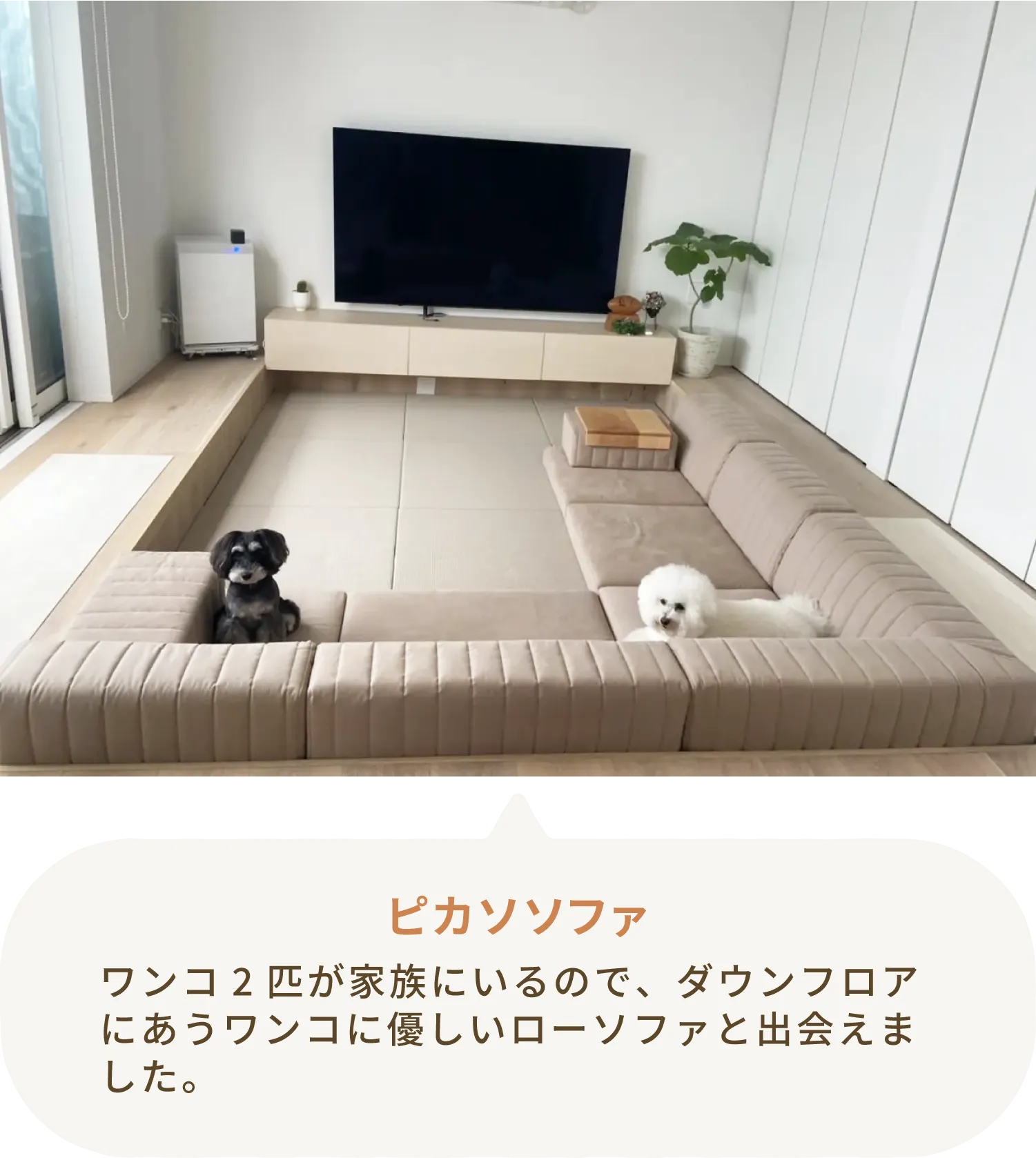 愛犬とローソファのある暮らし・ご愛用者様レビュー