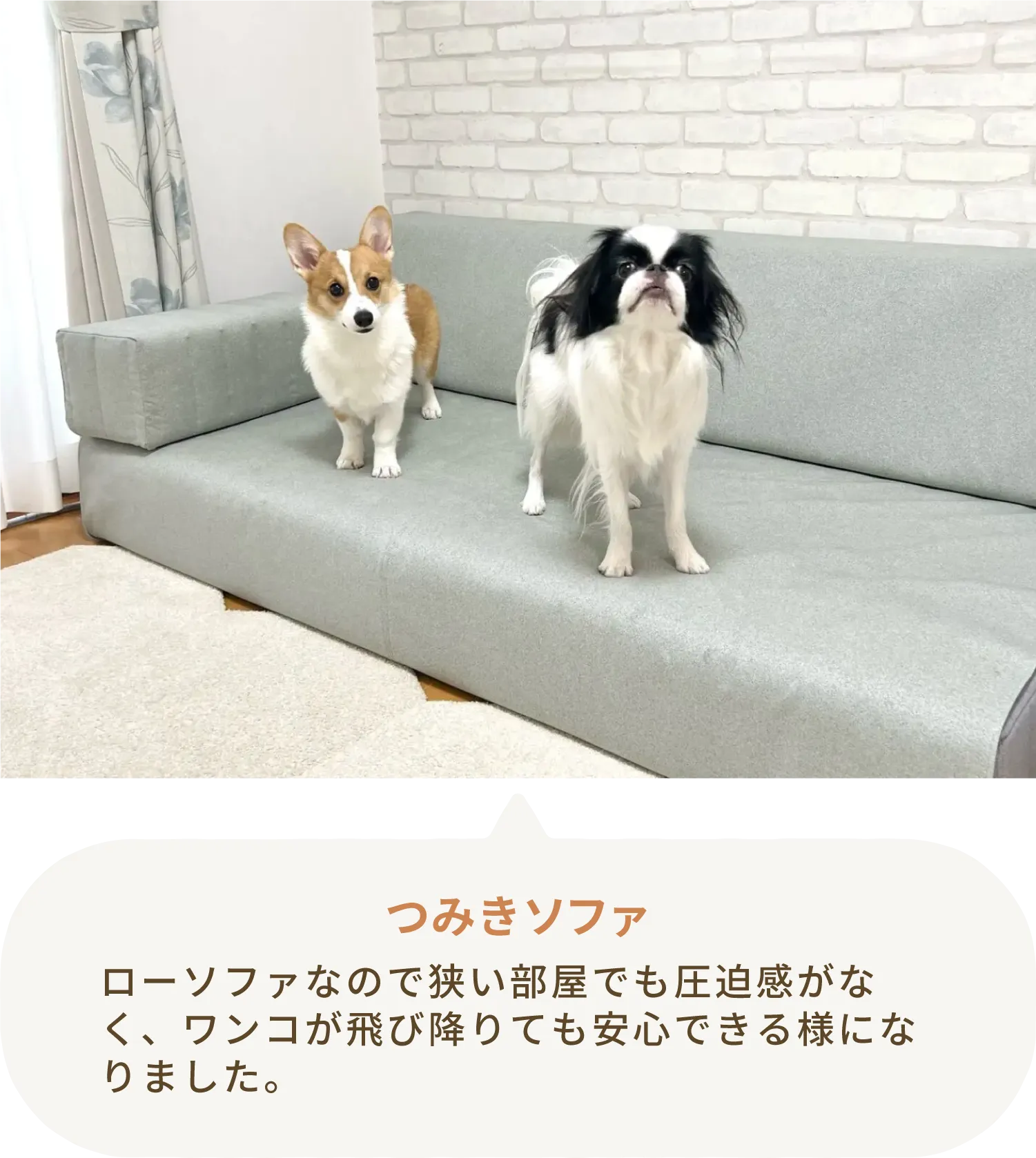 愛犬とローソファのある暮らし・ご愛用者様レビュー