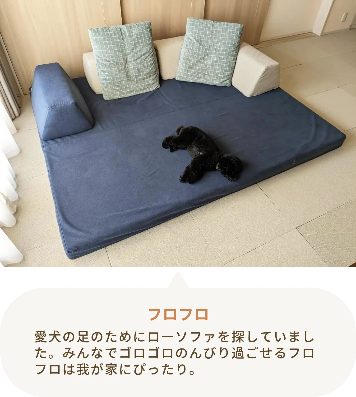 愛犬とローソファのある暮らし・ご愛用者様レビュー