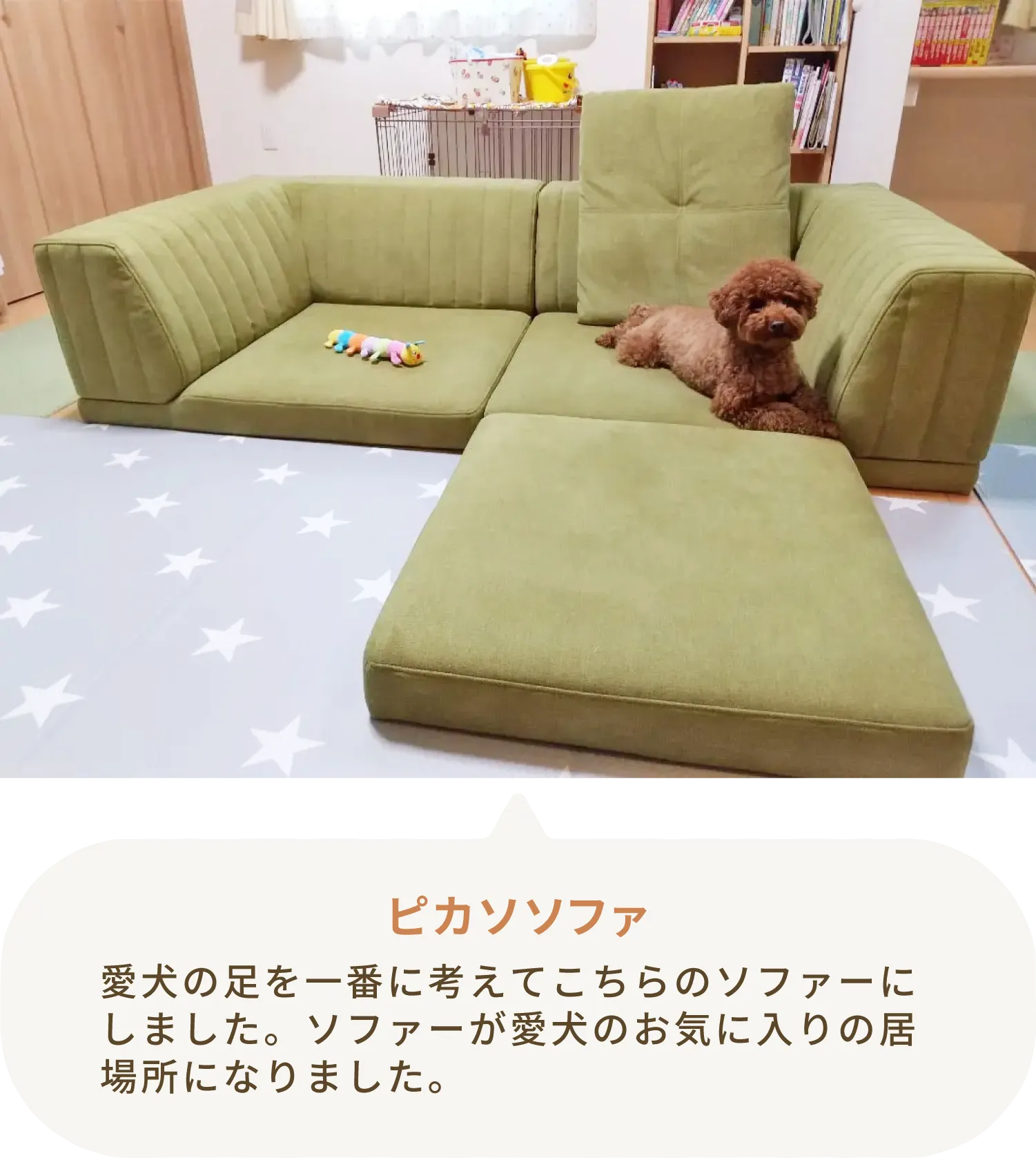愛犬とローソファのある暮らし・ご愛用者様レビュー