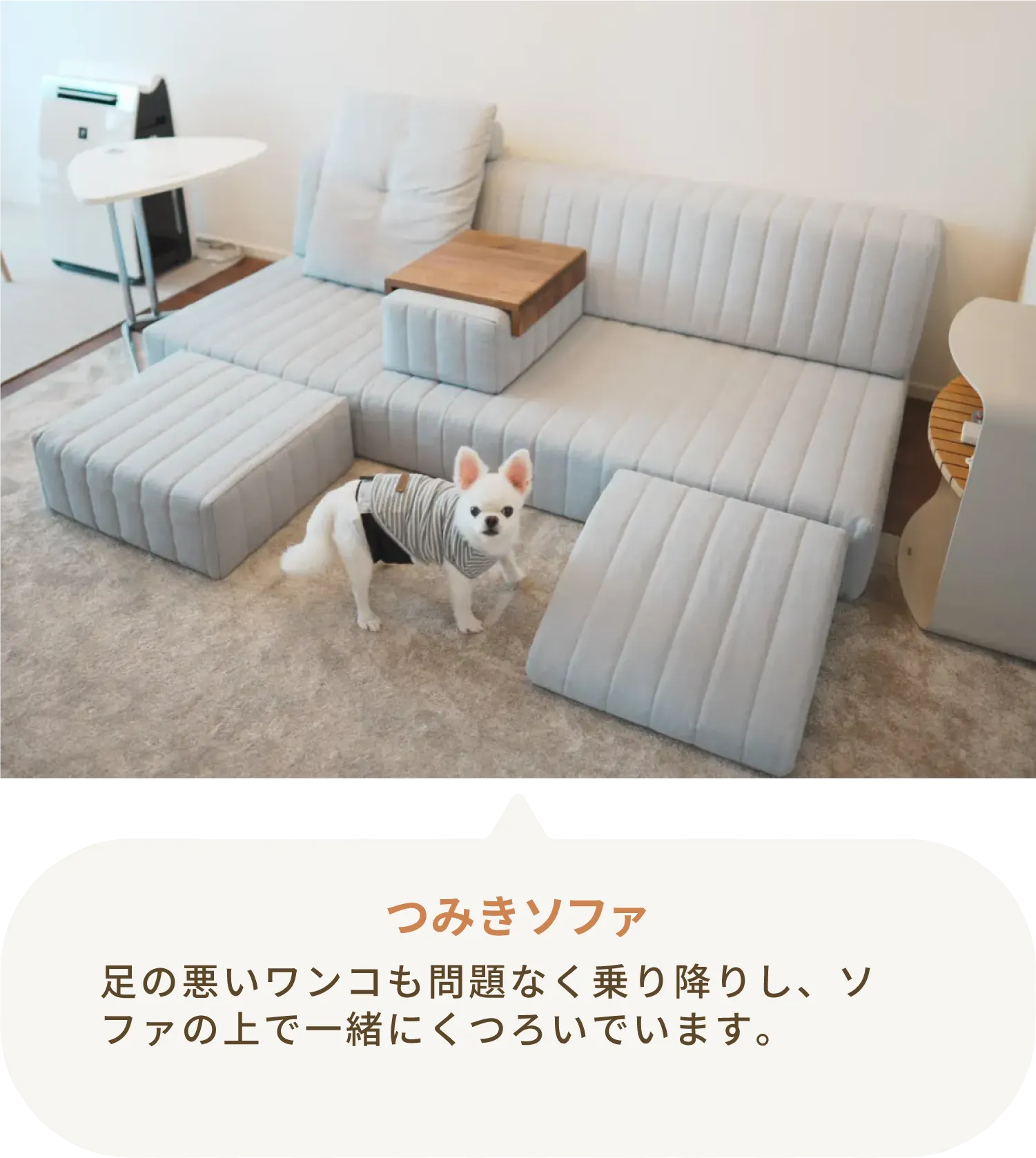 愛犬とローソファのある暮らし・ご愛用者様レビュー
