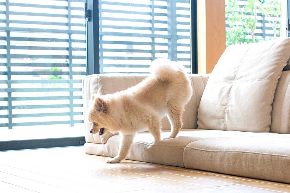 積み木のようなローソファ、つみきソファ画像