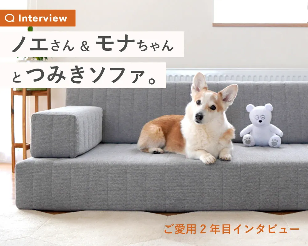 愛犬との暮らしにおすすめのセット販売