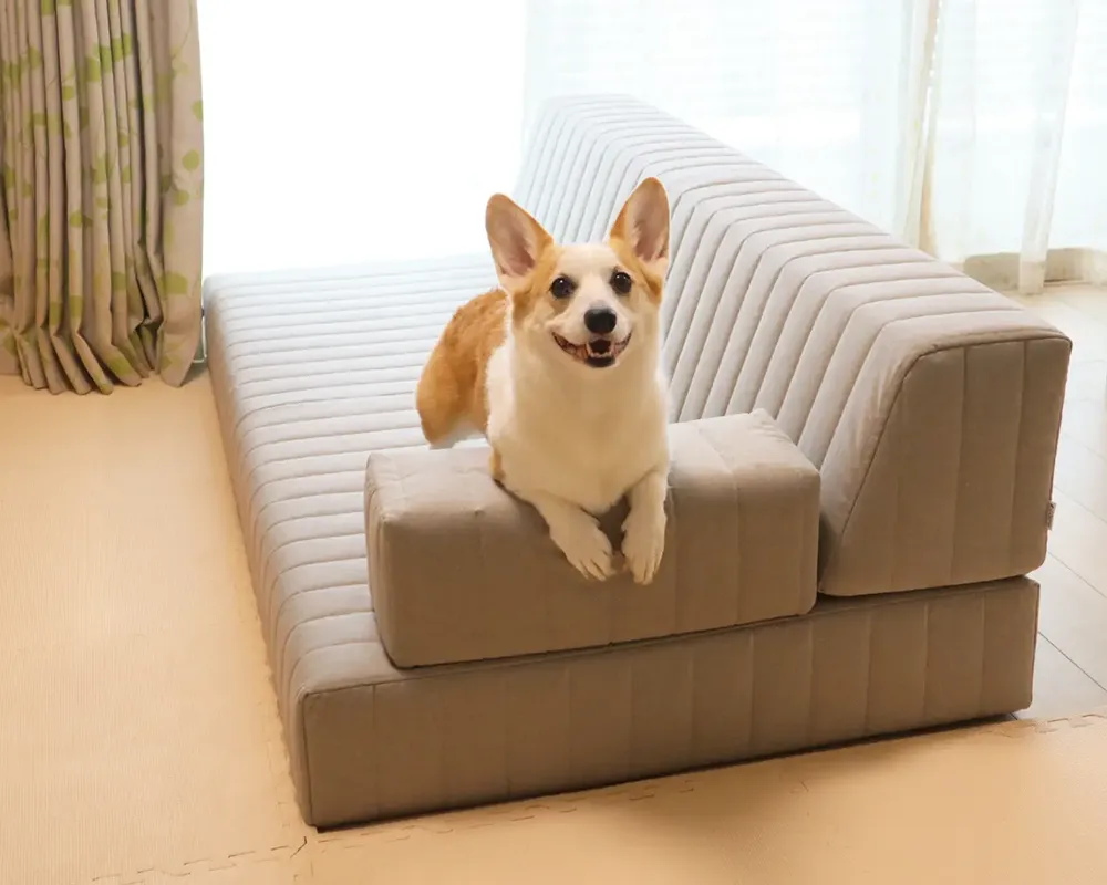愛犬との暮らしにおすすめのセット販売