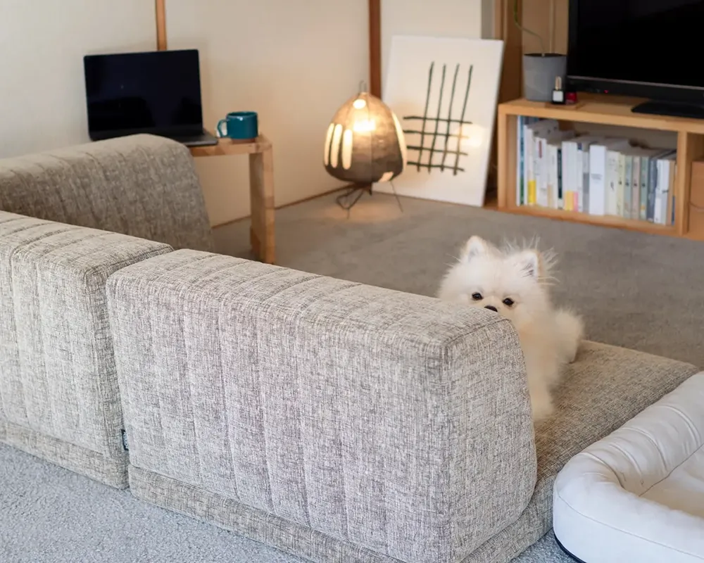 愛犬との暮らしにおすすめのセット販売