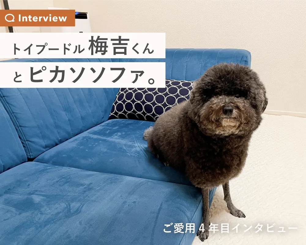 愛犬との暮らしにおすすめのセット販売