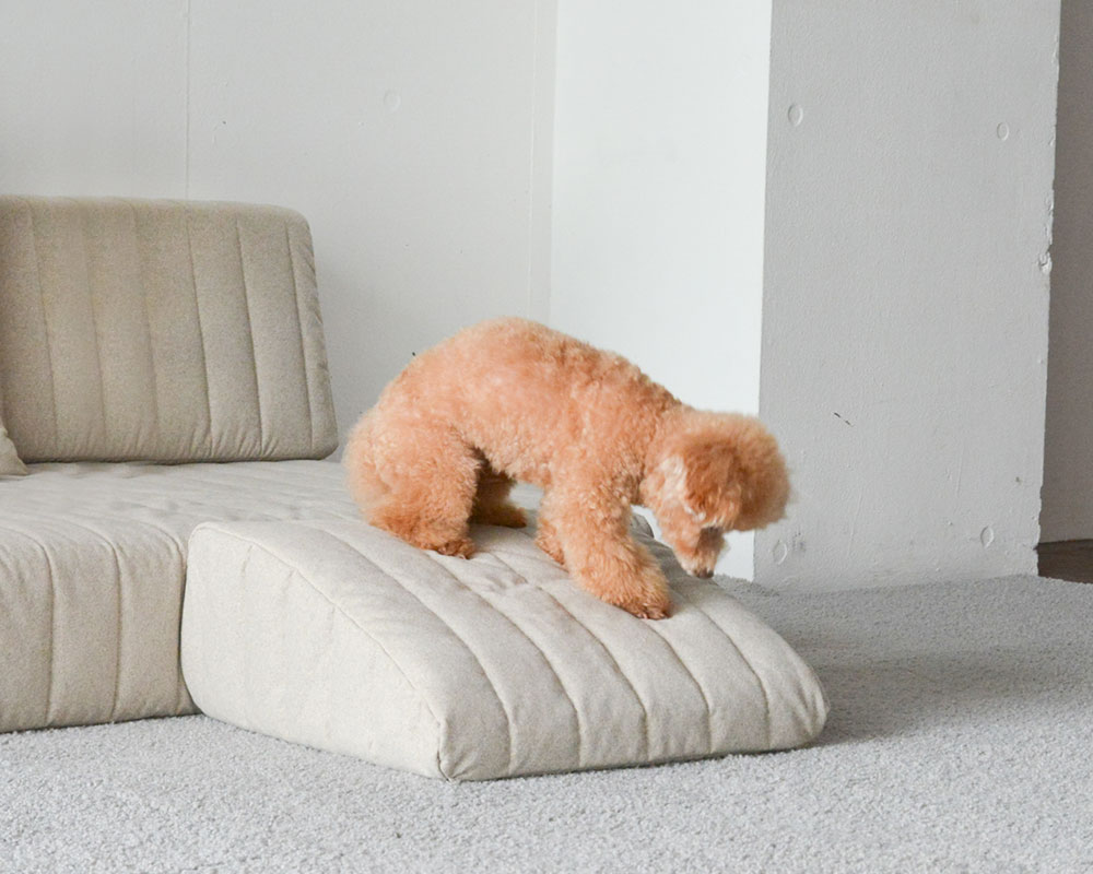 座面20cmのつみきソファ、愛犬との暮らしにうれしいセット