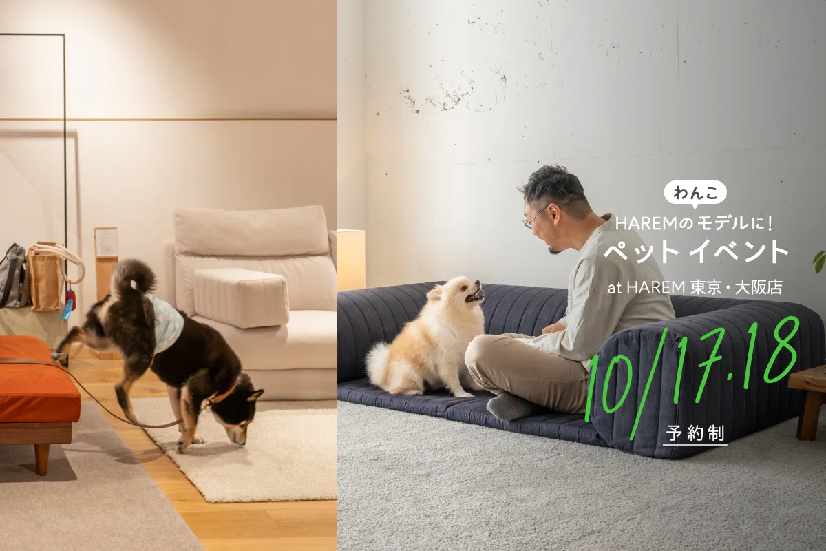 愛犬の健やかさを守るローソファ