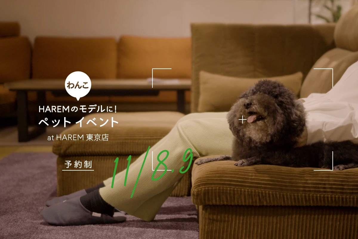 愛犬の健やかさを守るローソファ